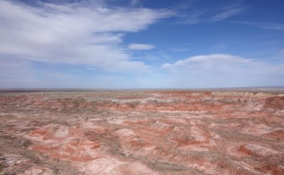 Petrified Forest N P
