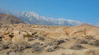 Lone Pine