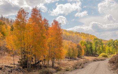 Lobdell Lake Rd