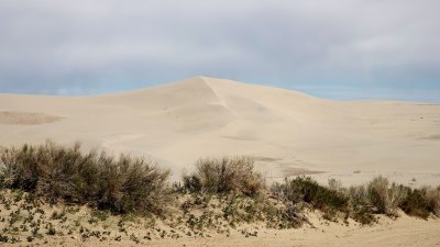 Killpecker Dunes