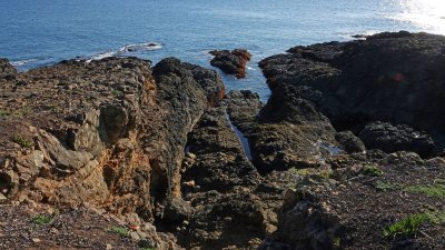 Shelter Cove