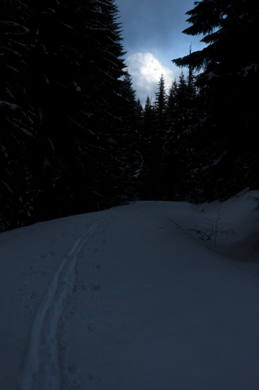 Mt. Hood above the trail