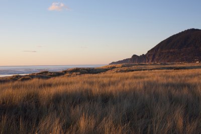 Beachscape 