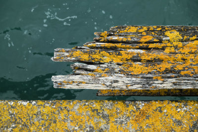 Tolaga Bay Wharf