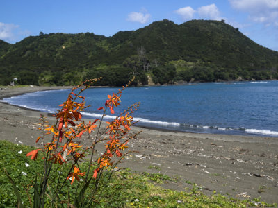 East Cape vista