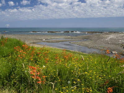 East Cape vista
