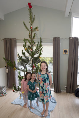 The tree is up