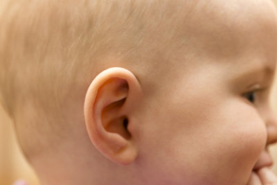 Ear