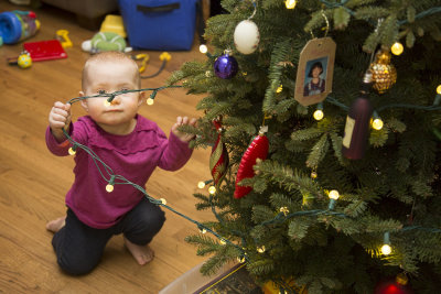 Dorothy attacks the Christmas lights