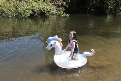 Unicorn float