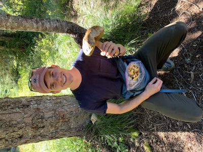 King of the boletes