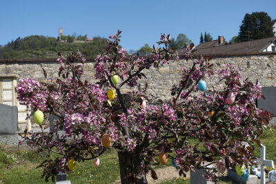 Easter hope in the cemetery