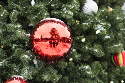 Bothell Grompe reflections