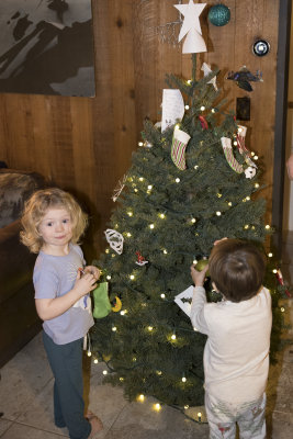 Tree decoration commences