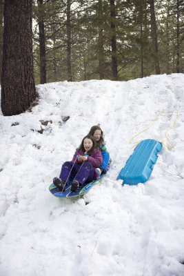 Double sled