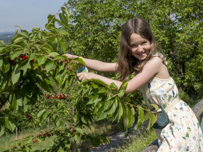 Nell in the cherries