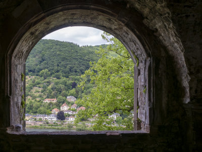 Window view