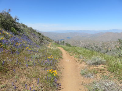 Reavis Ranch Trail to Castle Dome 3/28/2019