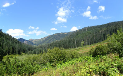 DSC00375-376_stitch.jpg