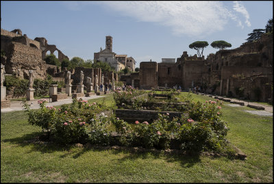From Forum Romanum, cloisters of the Vestal Virgins...
