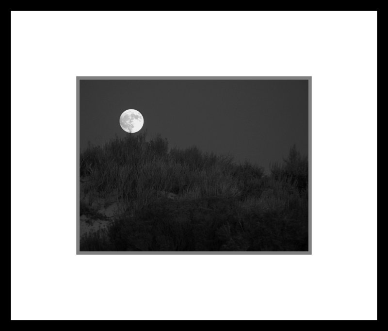 Moonrise Atalope park copy.jpg