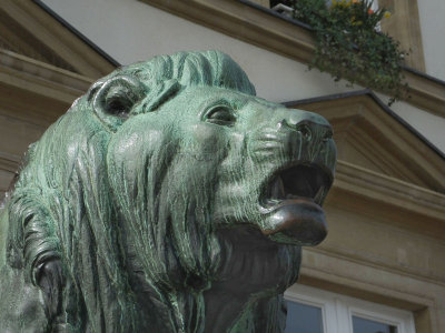  Lion outside Hotel de Ville_William II square