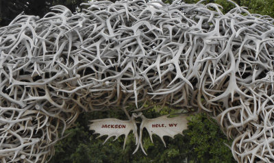Top of Antler Arch_Jackson (one of four in main square)