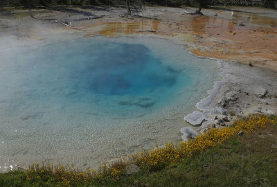 Fountain Paint Pot Group hot spring 