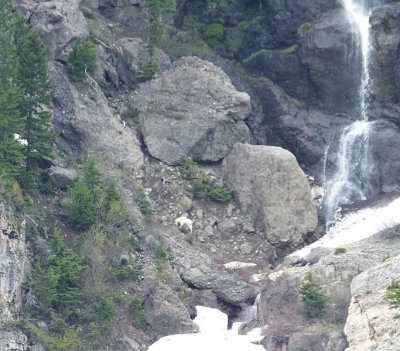 Mountain Goat with hidden calf and waterfall