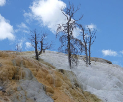 Mammoth Hot Springs