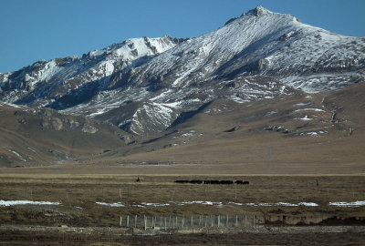  Tibetan Plateau view 