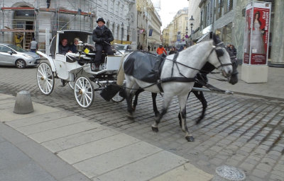 Horse and Carriage near Hofburg Palace