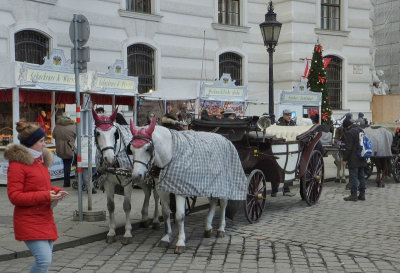 Horses waiting for passengers by Hofburg