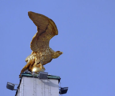 Eagle at Schonbrunn Palace gates