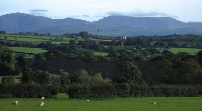 Clear view of Welsh mountains and sheep