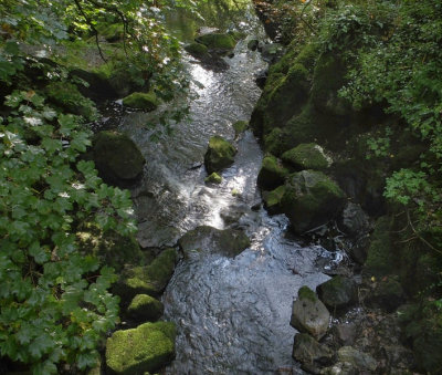 The Dingle stream