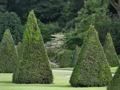 Topiary avenue Hidden Garden
