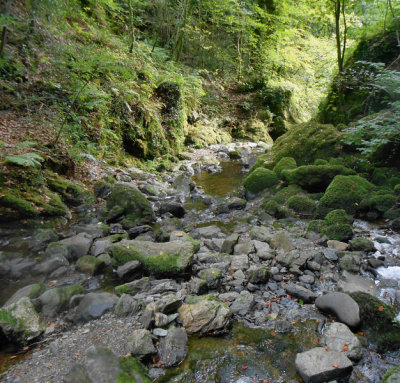 Stream after waterfall Hidden Garden Plas Cednant