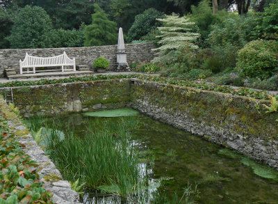 The pond Plas Cednant: The Hidden Garden