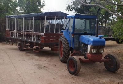 Tractor for Low Tide connection to mainland