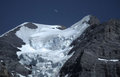 Paraglider over Jungfrau