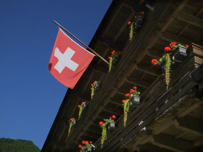 Geranium Balconies Murren
