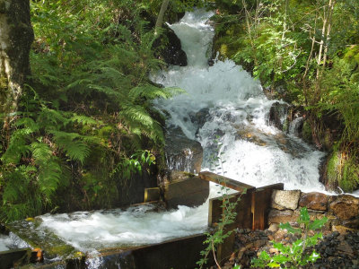 Whillan Beck_Mill stream at Eskdale Mill Boot