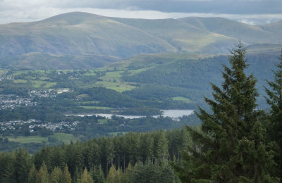 Derwent Water from Whinlatter forest