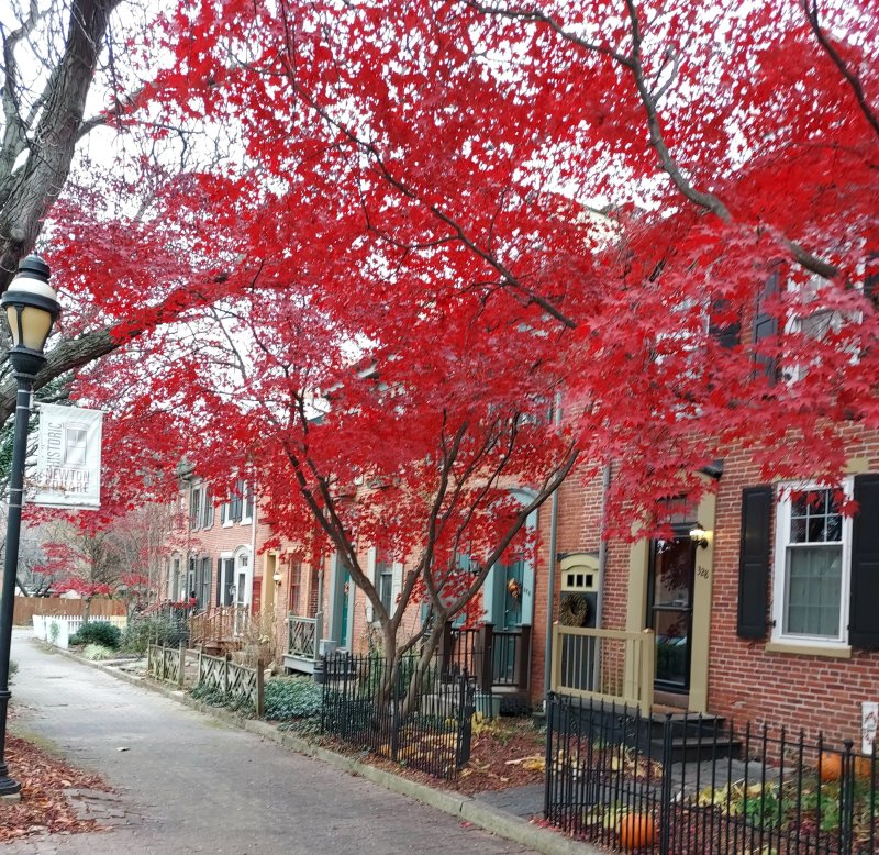 november