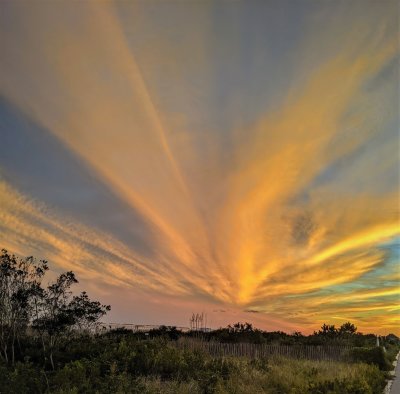 cape may sunset (yellow)