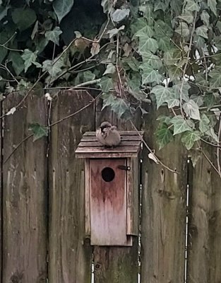 new tenant?