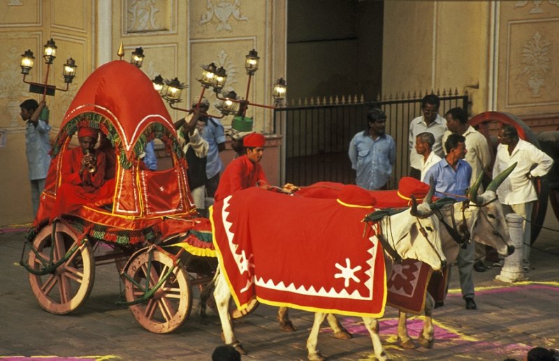 Gangaur festival procession