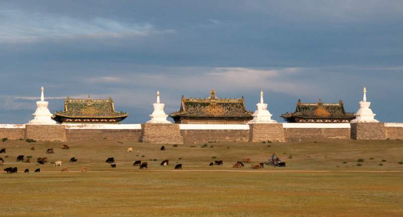 Livestock graze outside the walls of Erdene Zuu Khiid, Kharkorin, Mongolia