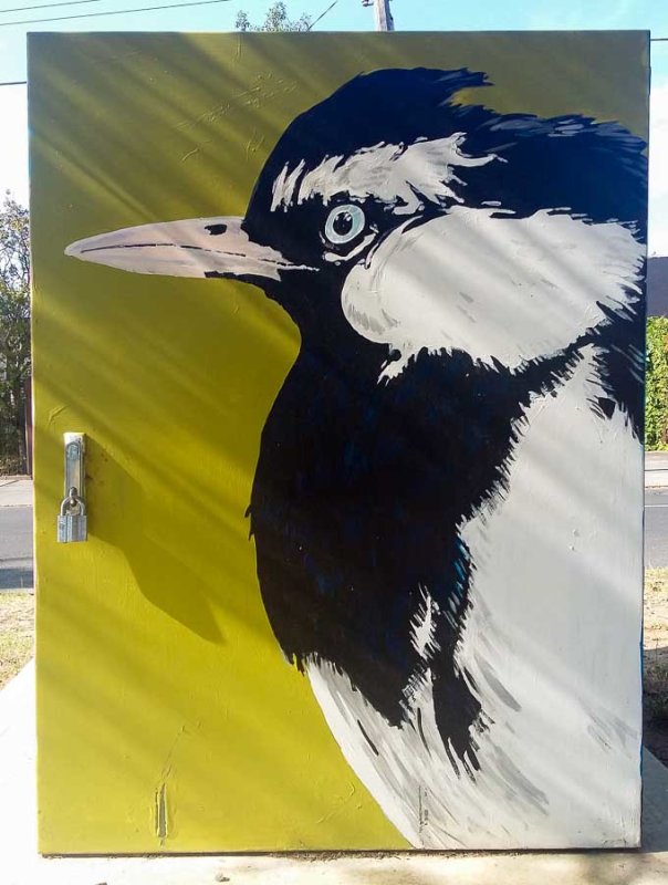 Native fauna depicted in street art in a suburban park, Melbourne, Australia